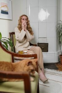 ¿Cómo saber si eres alérgico/a los gatos? 