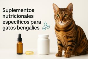 Suplementos nutricionales específicos para gatos bengalíes: guía completa y actualizada
