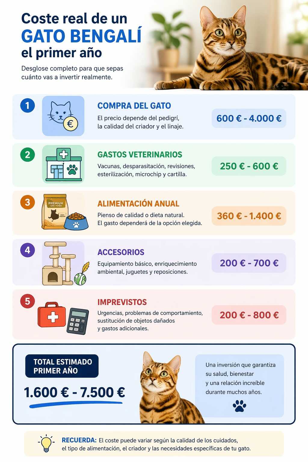 Infografía sobre los costes reales de tener un gato bengalí durante su primer año